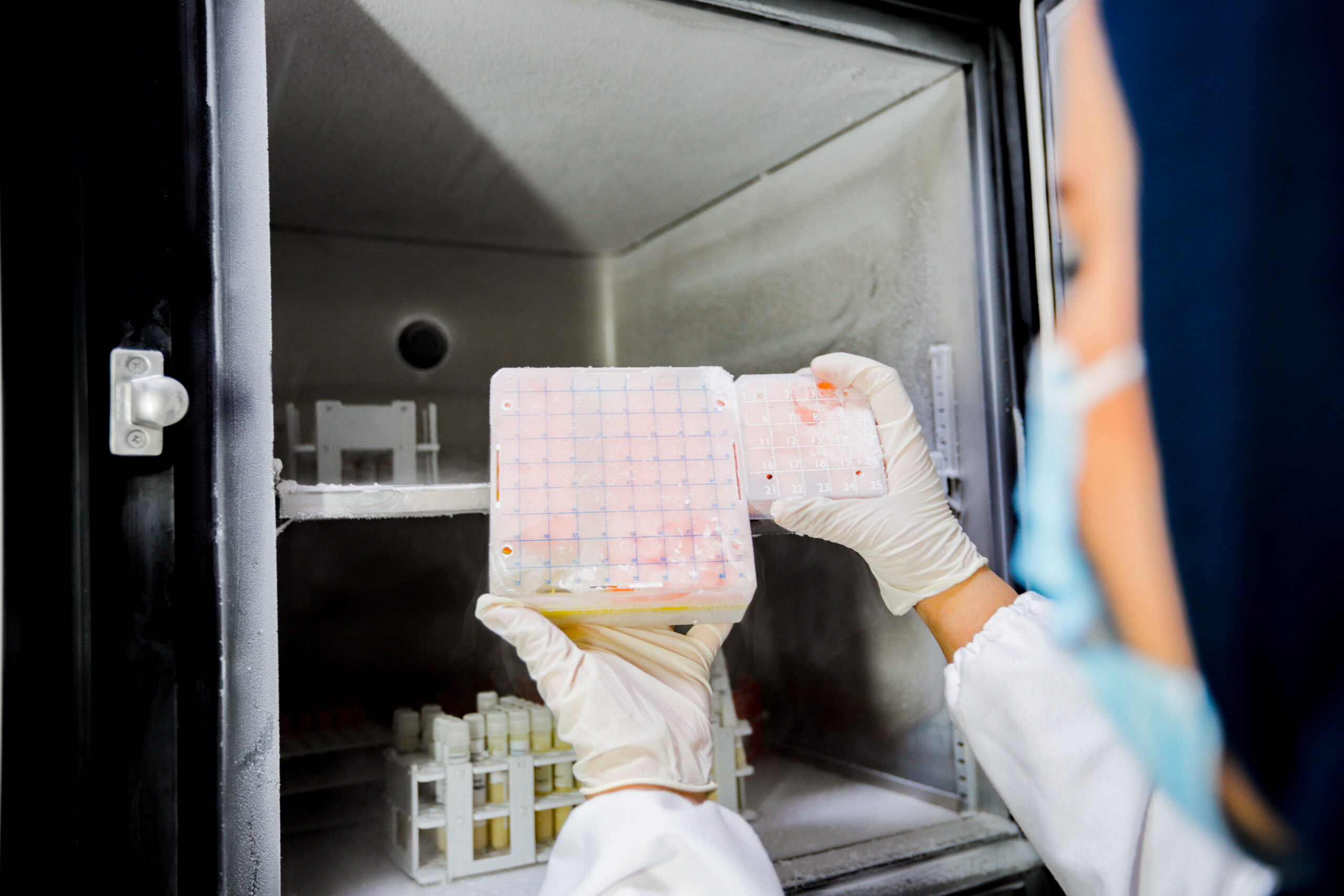 flacon d'analyse microbiologique