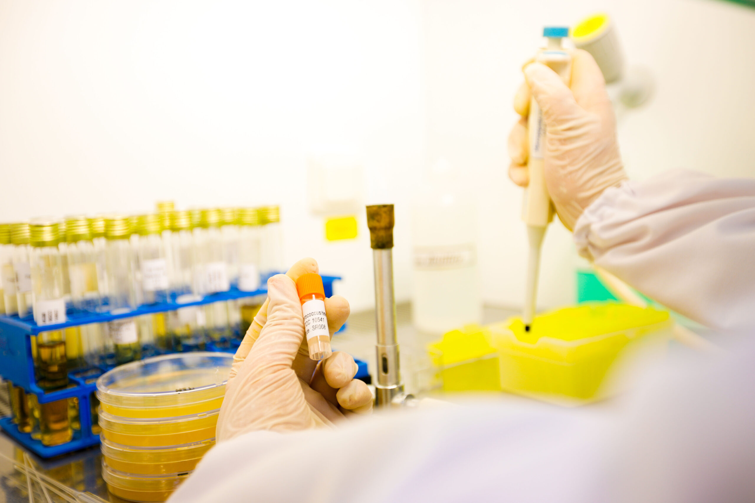 laboratoire d'analyse microbiologique riadhpharm