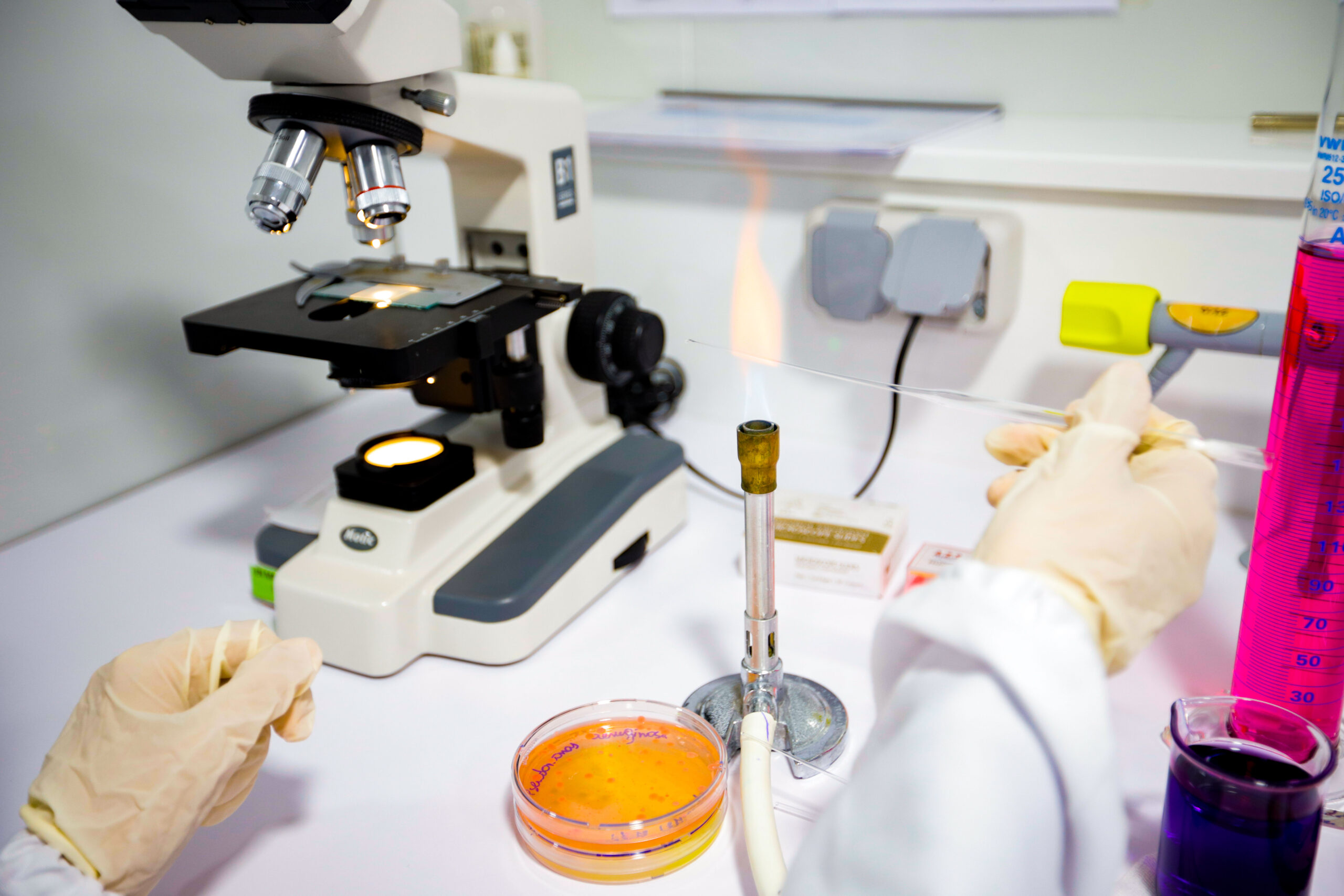 laboratoire d'analyse microbiologique riadhpharm