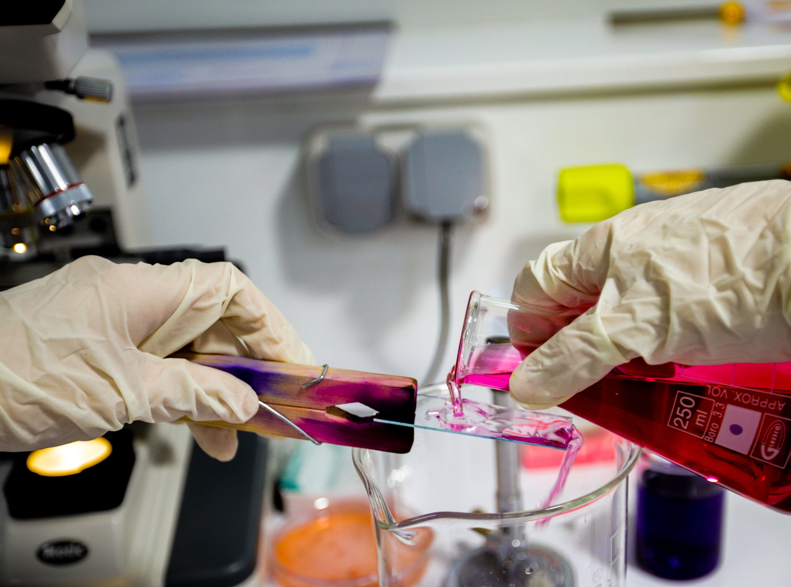 laboratoire d'analyse microbiologique riadhpharm