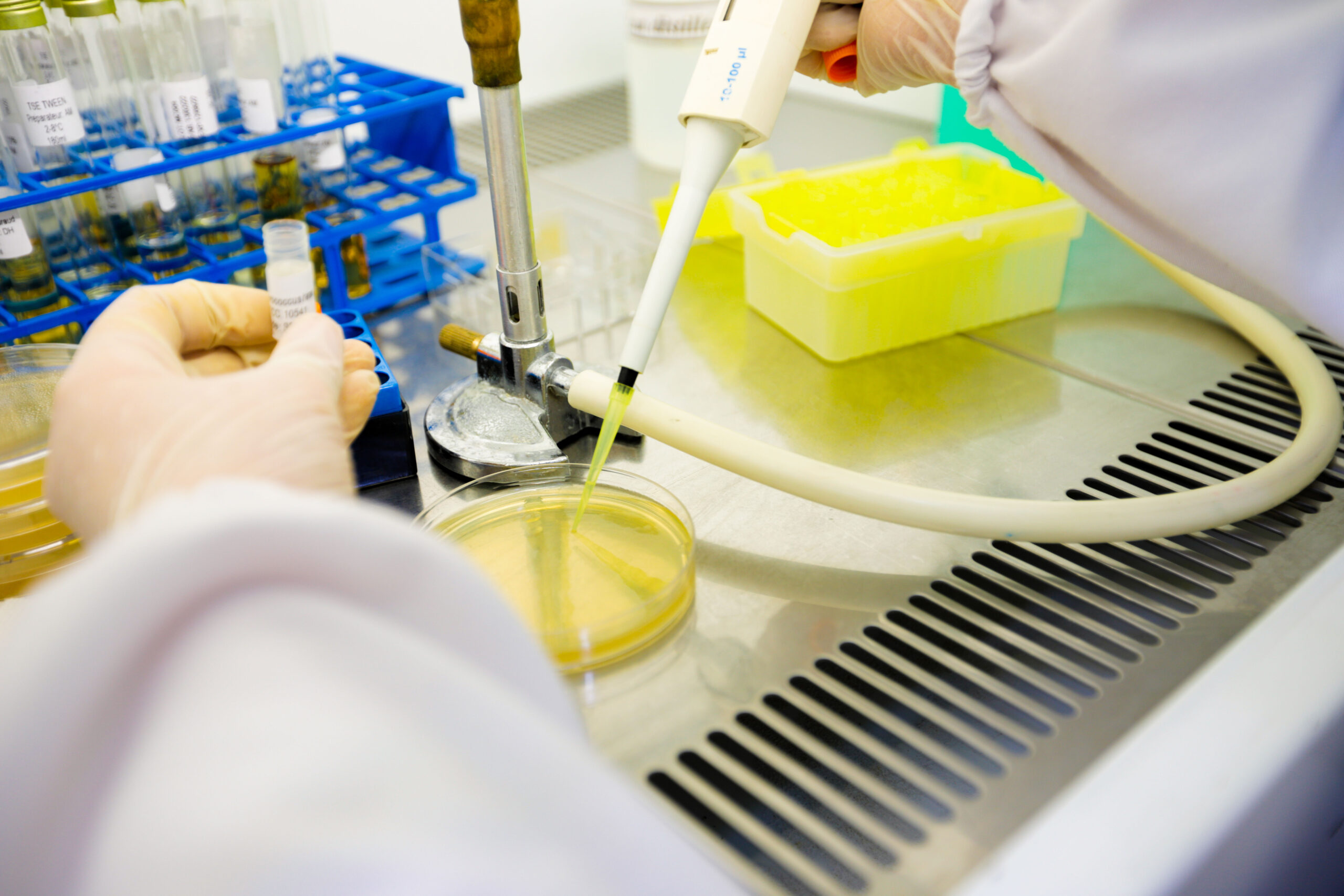 laboratoire d'analyse microbiologique riadhpharm