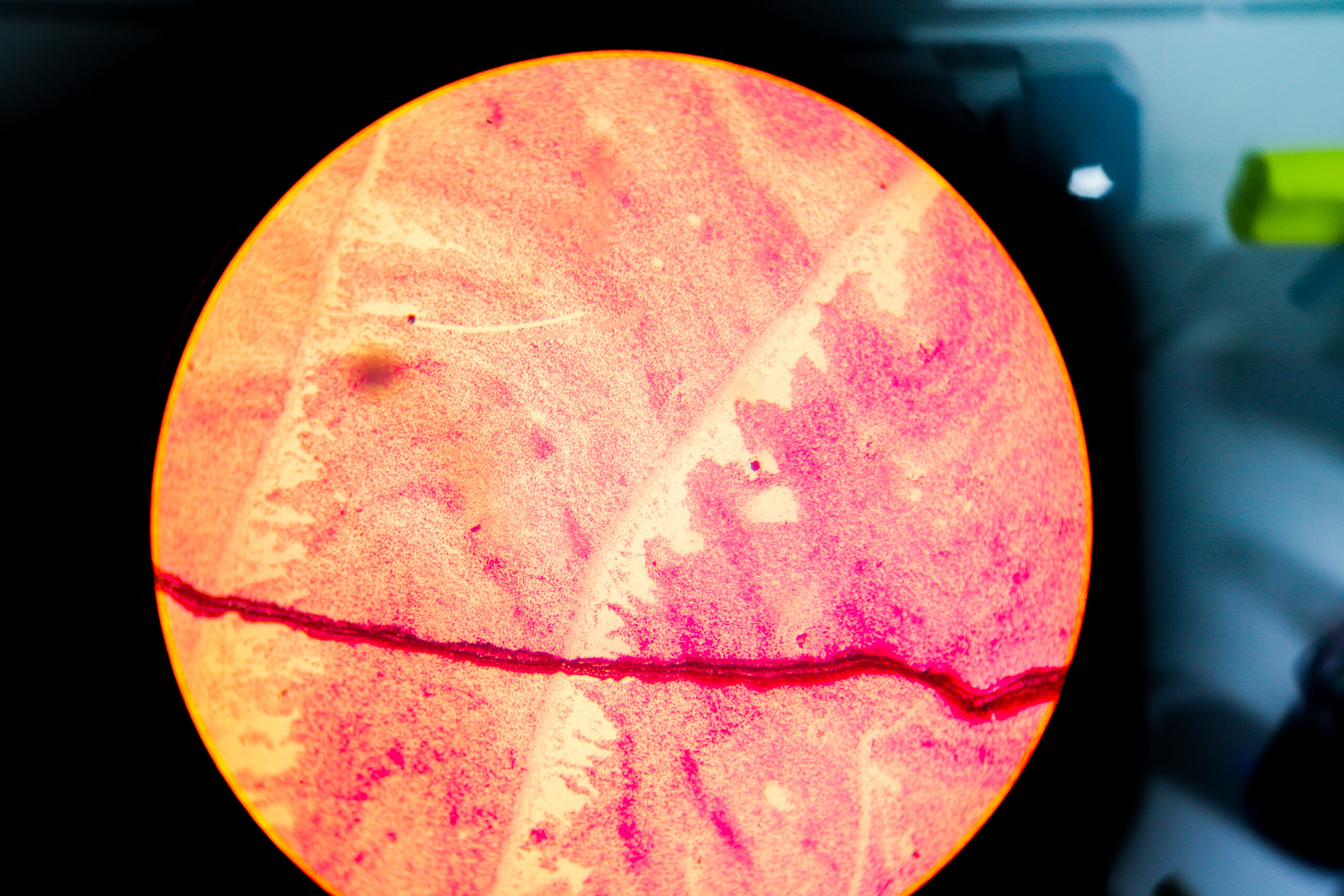 laboratoire d'analyse microbiologique riadhpharm