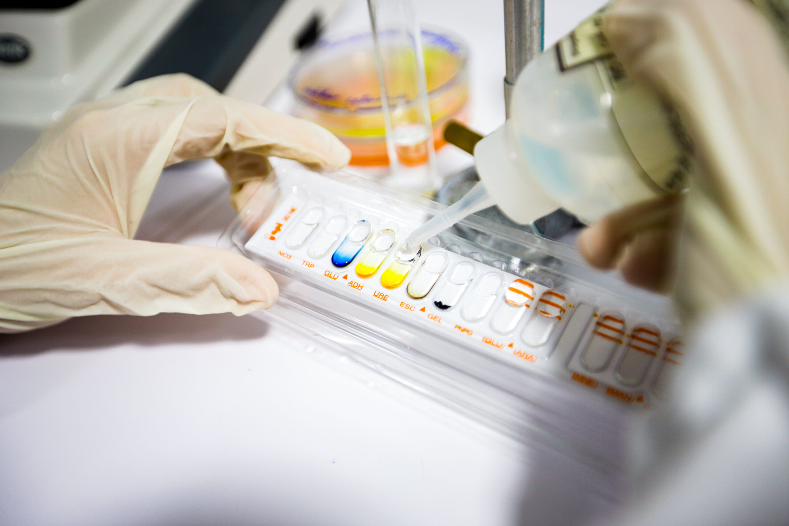 laboratoire d'analyse microbiologique riadhpharm