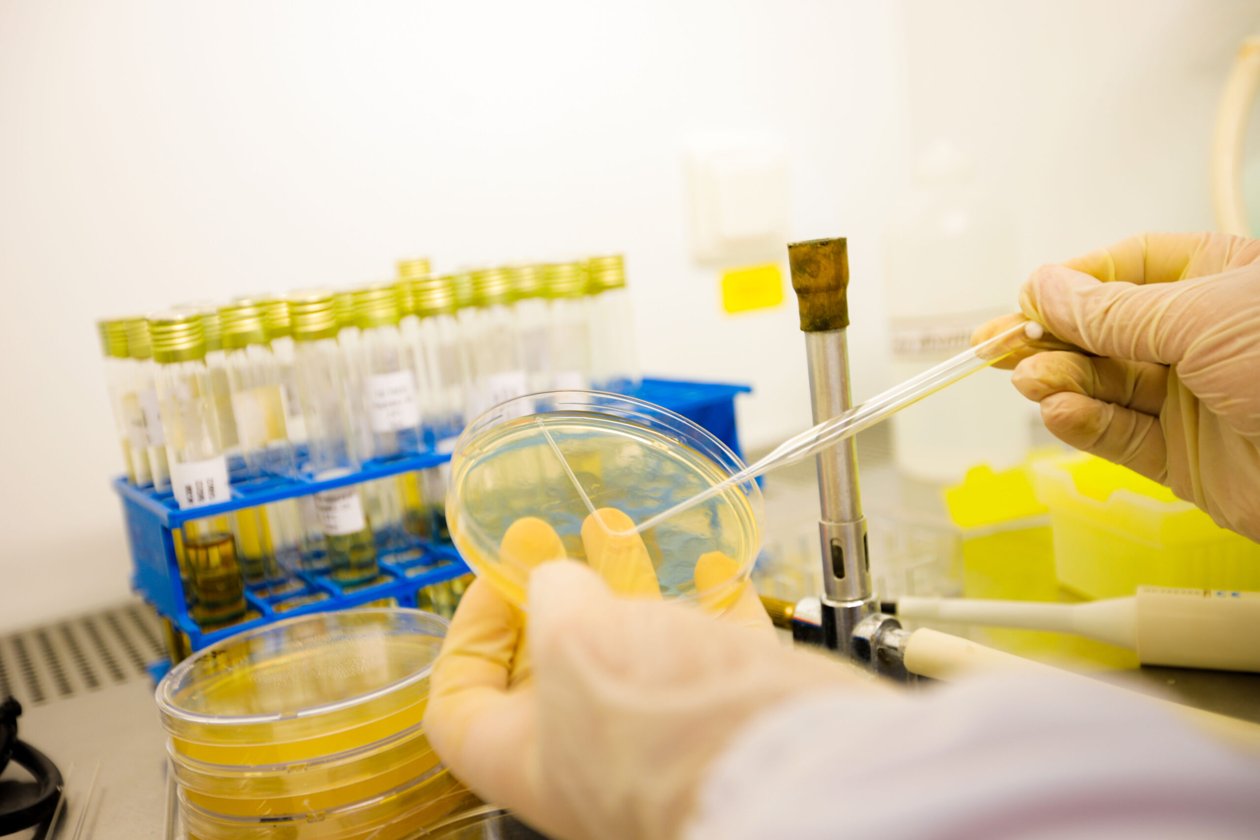 laboratoire d'analyse microbiologique riadhpharm