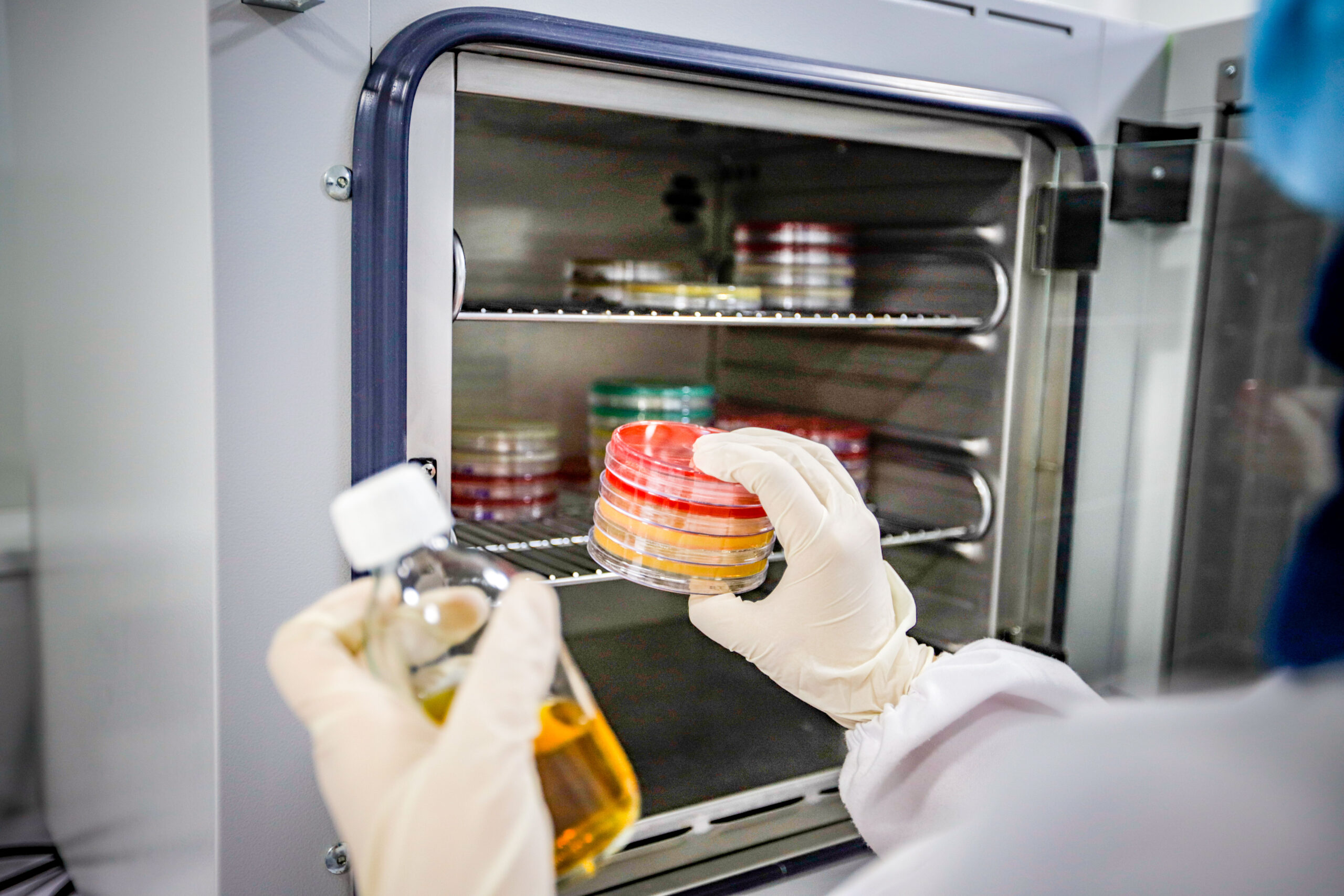 laboratoire d'analyse microbiologique riadhpharm