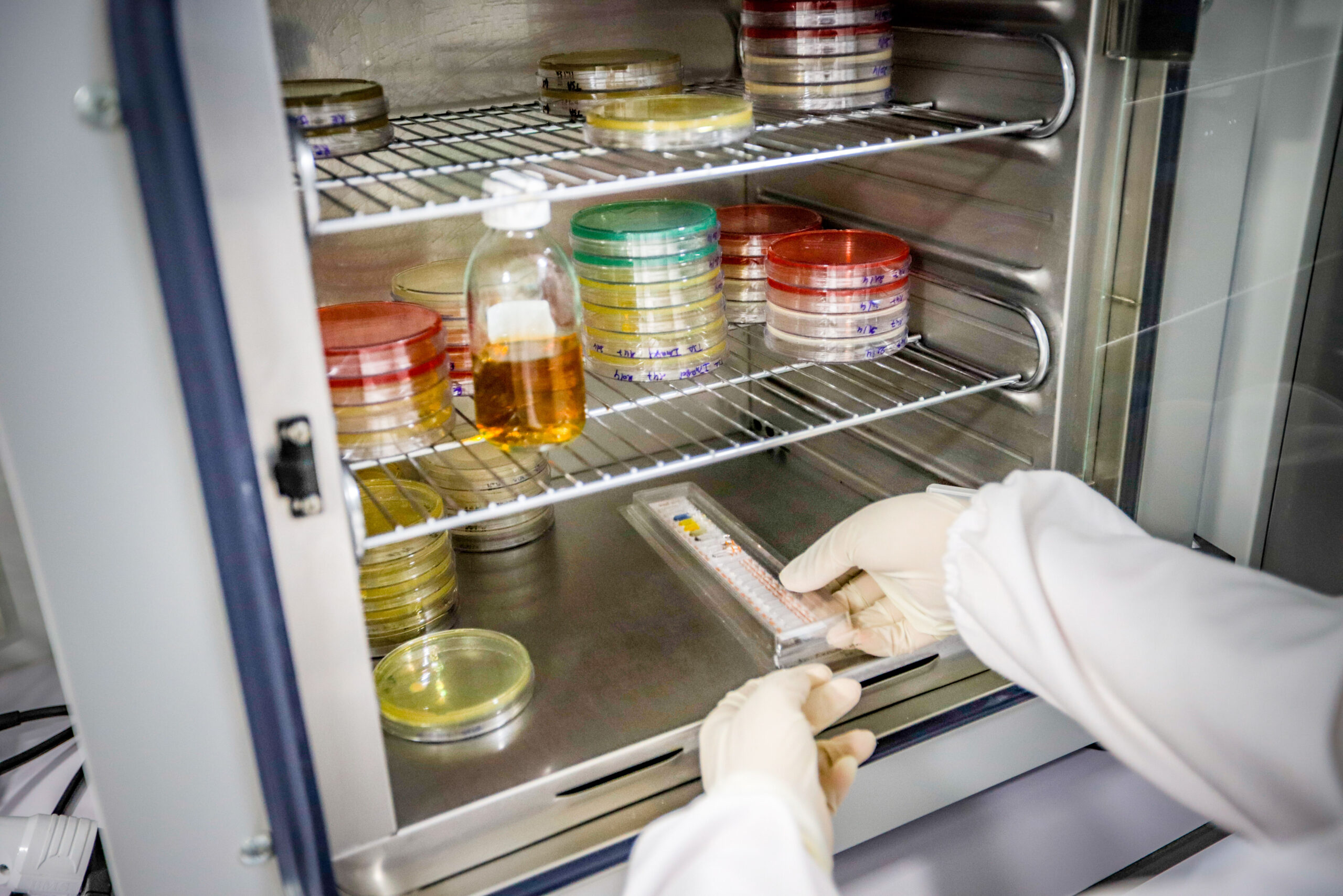 laboratoire d'analyse microbiologique riadhpharm