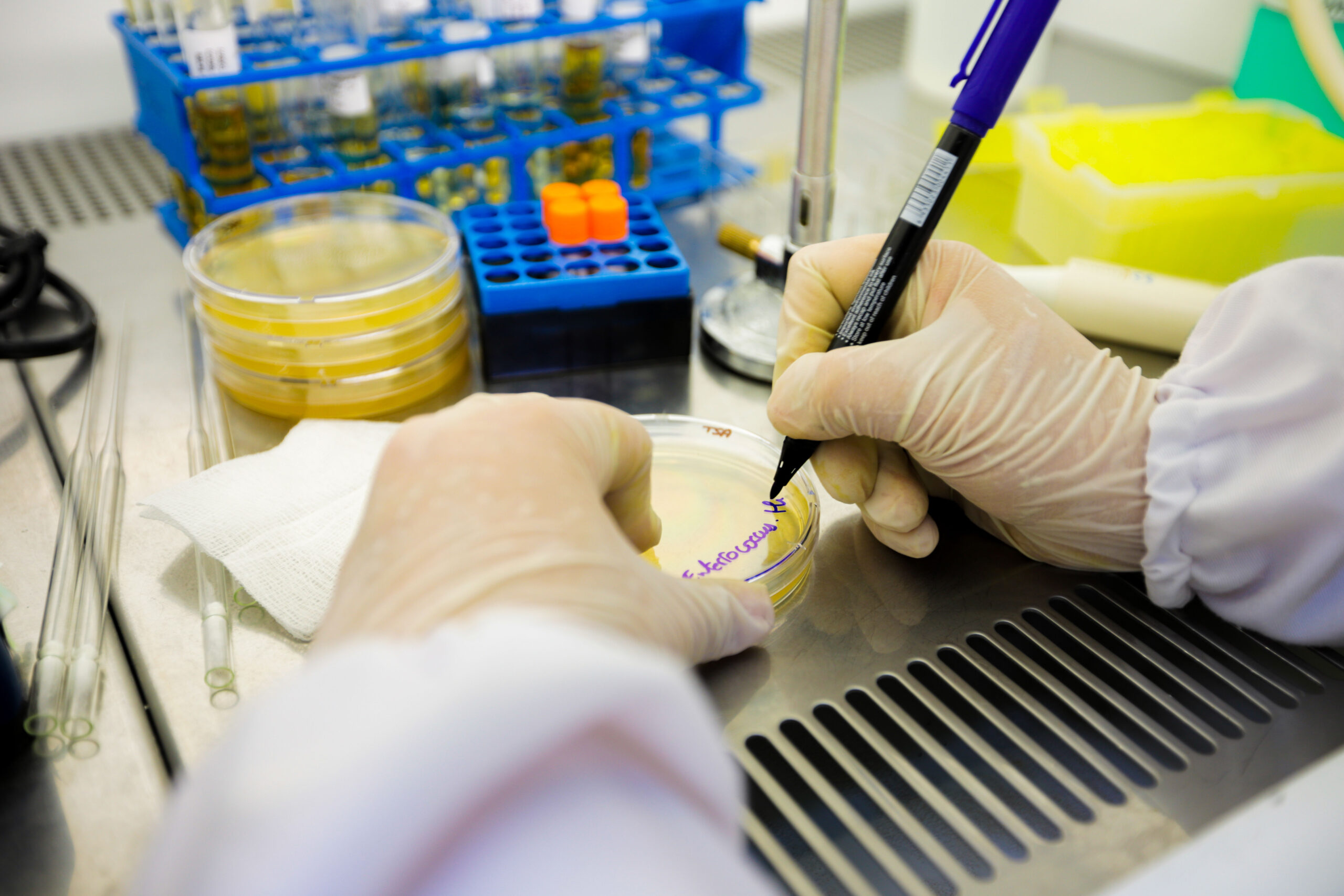 laboratoire d'analyse microbiologique riadhpharm