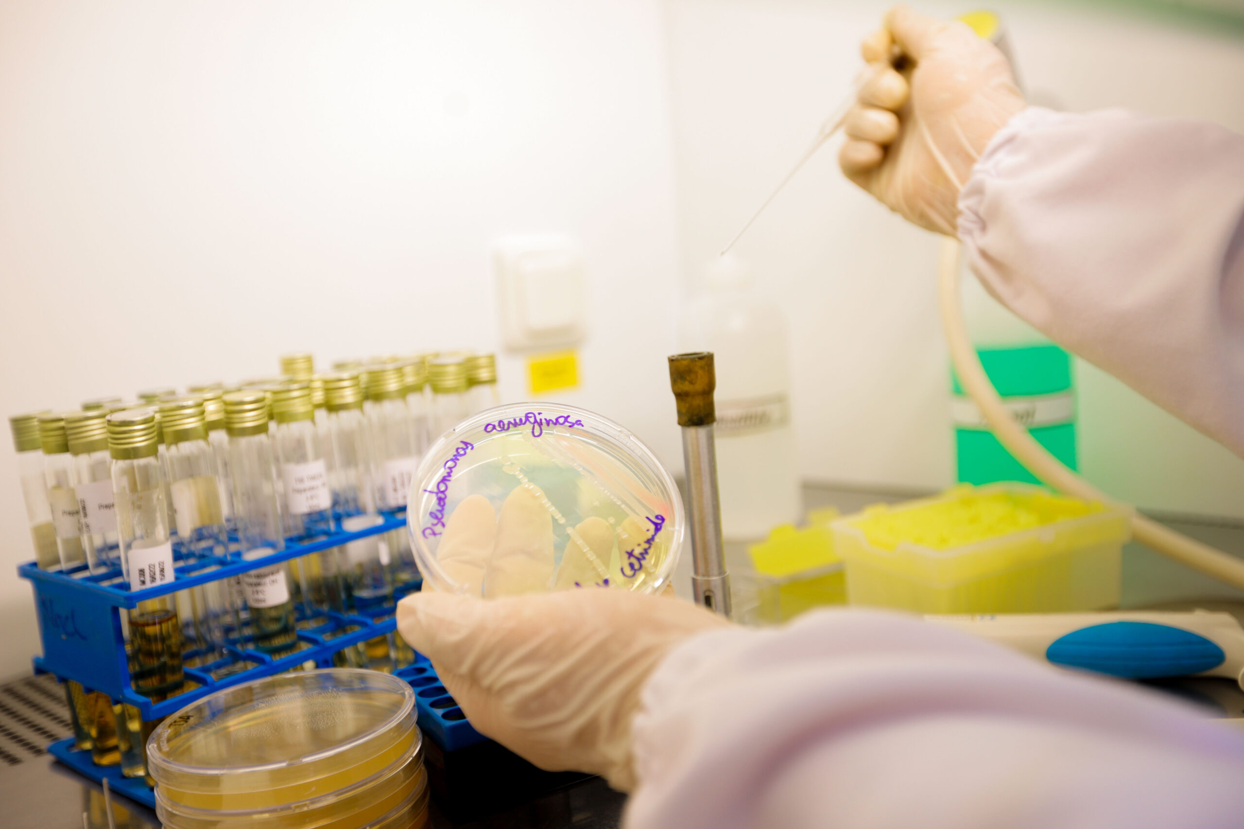 laboratoire d'analyse microbiologique riadhpharm