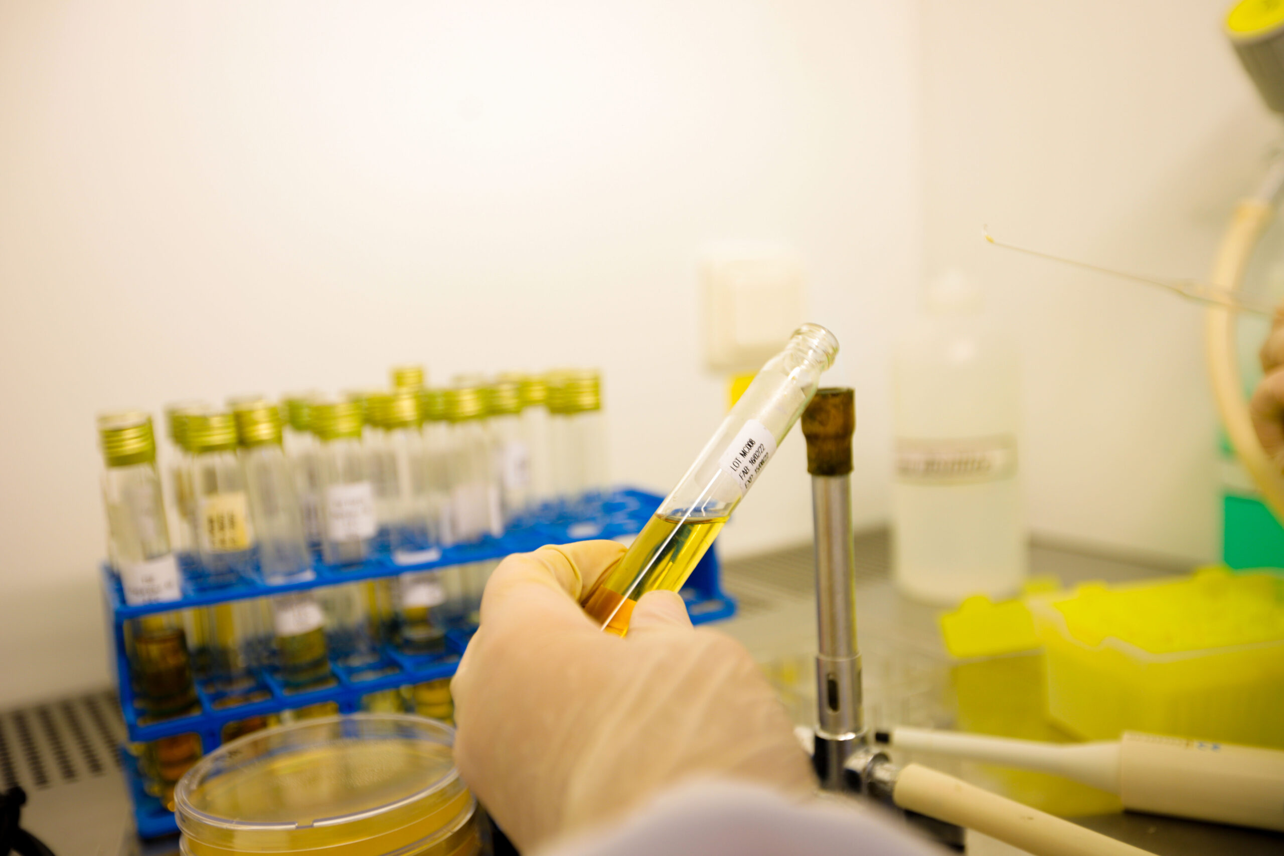 laboratoire d'analyse microbiologique riadhpharm